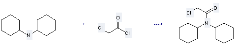 Acetamide,2-chloro-N,N-dicyclohexyl- can be prepared by chloroacetyl chloride and dicyclohexylamine at the ambient temperature